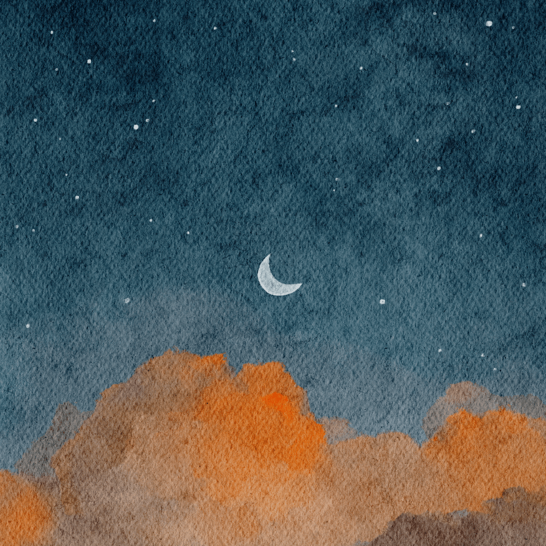 Introducing Milo: Underwrite in seconds, not hours